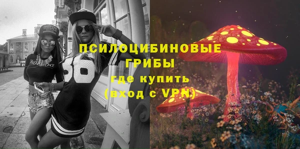 стаф Алзамай