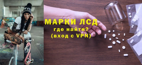 стаф Алзамай
