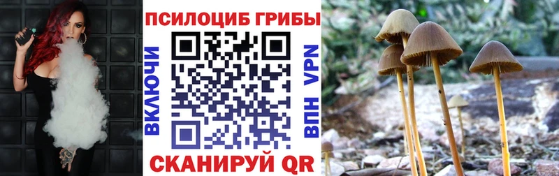 blacksprut маркетплейс  Кола  Псилоцибиновые грибы Psilocybine cubensis 